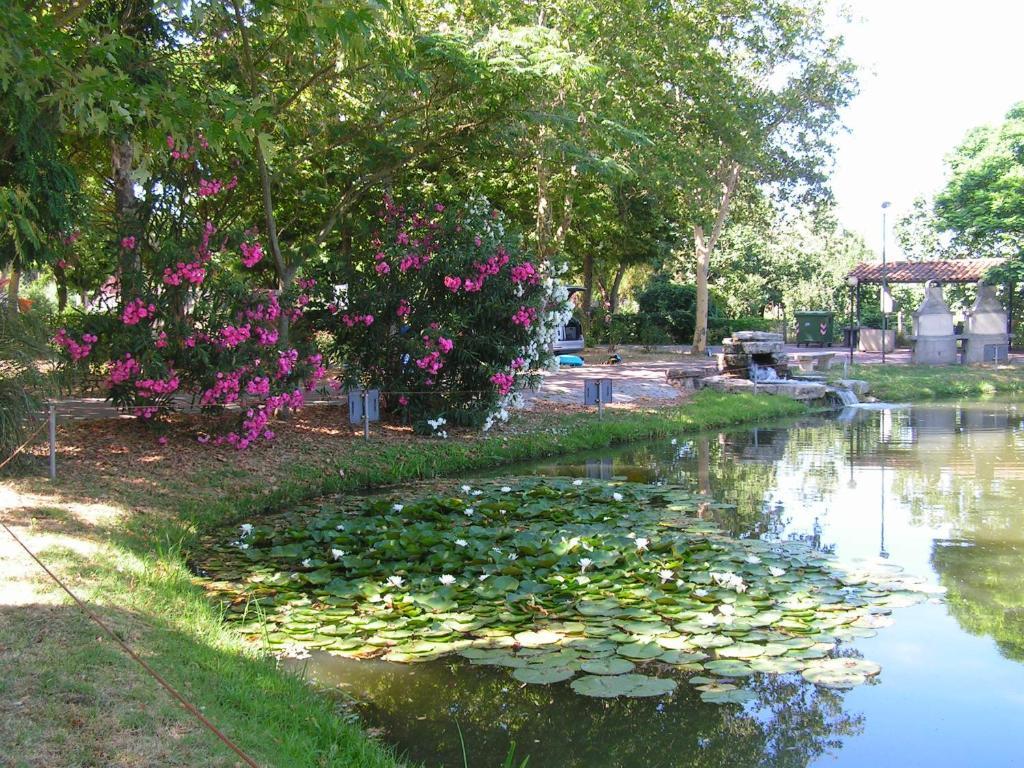 Camping Villaggio Italgest Сант'Арканджело Экстерьер фото