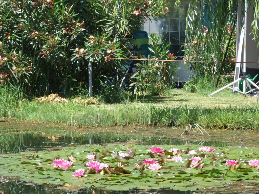 Camping Villaggio Italgest Сант'Арканджело Экстерьер фото